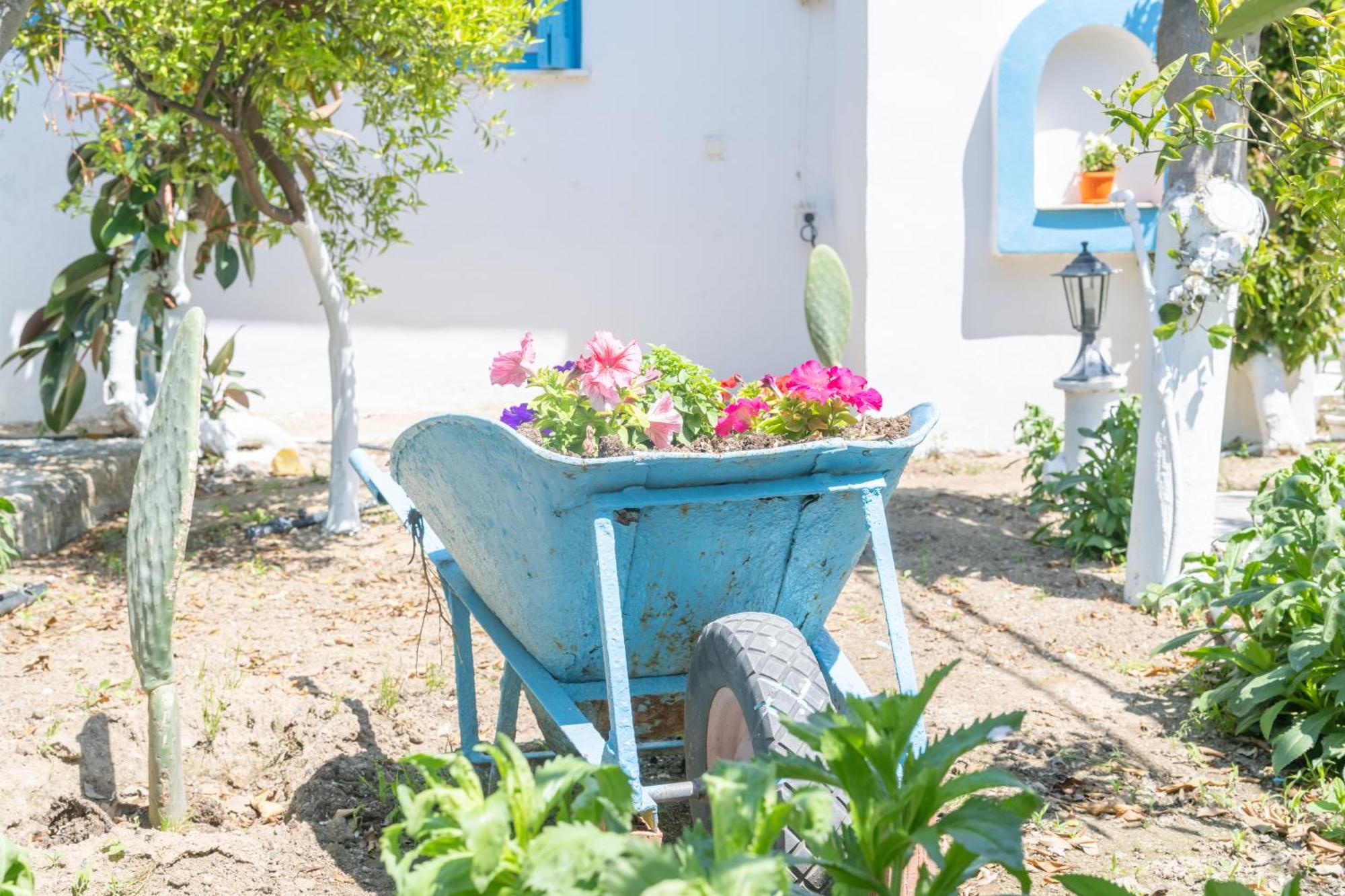 Ferienwohnung Perivoli 3-Chora Agkidia Exterior foto